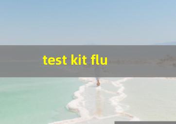 test kit flu